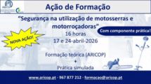 105440-div-motoserras-e-motorrocadoras-site